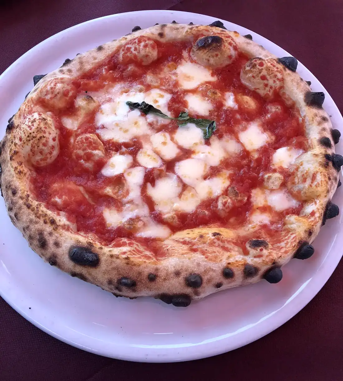 Pizza margherita sortie du four